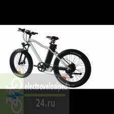  El-Sport bike TDE-03 350w