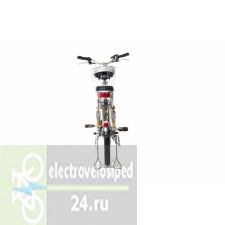 Электровелосипед двухколесный E-motions Dacha 4two (Дача) 350W Li-ion