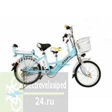Электровелосипед ELTRECO Семейный